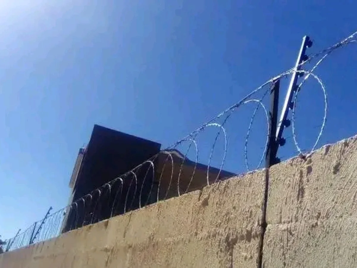 Fence and gates